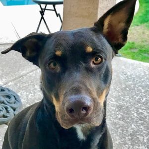 Meet your Posher, Arlee